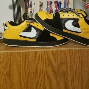 Nike sb